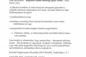 felhívás