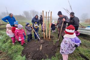 Országfásítás 2025