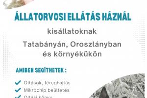 állatorvoi ellátás 