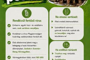 afrikai sertéspestis
