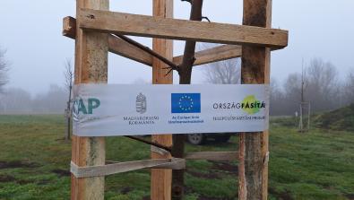 országfásítás 2025