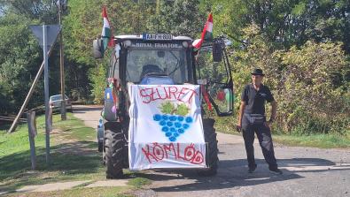 Szüreti felvonulás 2026