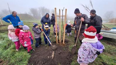 Országfásítás 2025