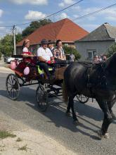 Szüreti felvonulás 2025