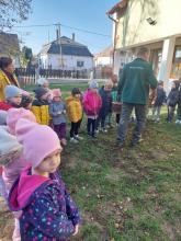 ősz és advent 2025 oviban