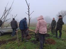 országfásítás 2025