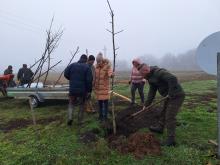 országfásítás 2025