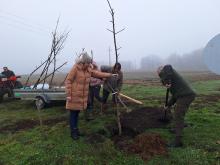 országfásítás 2025