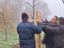 országfásítás 2025