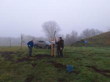 országfásítás 2025