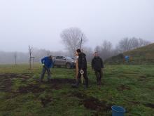 országfásítás 2025