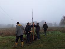 országfásítás 2025