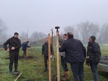 országfásítás 2025