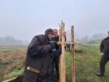 országfásítás 2025