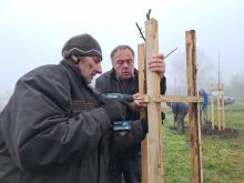 országfásítás 2025