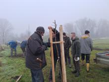 országfásítás 2025