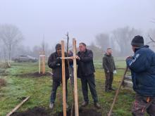 országfásítás 2025