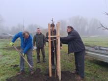 országfásítás 2025