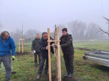 országfásítás 2025