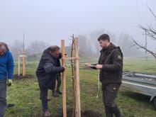 országfásítás 2025