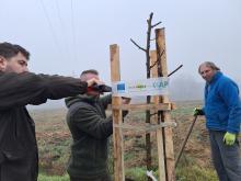 országfásítás 2025