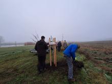 országfásítás 2025