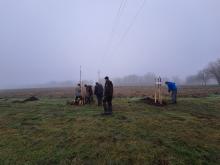 országfásítás 2025