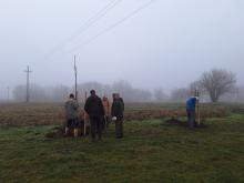 országfásítás 2025