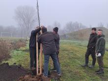 országfásítás 2025