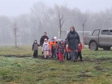 országfásítás 2025