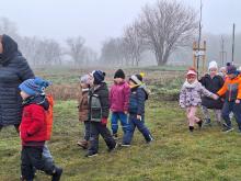 országfásítás 2025