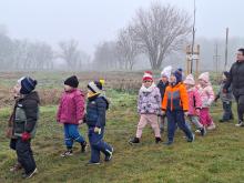 országfásítás 2025