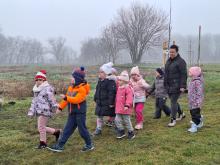 országfásítás 2025