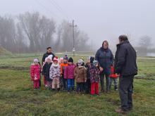 országfásítás 2025