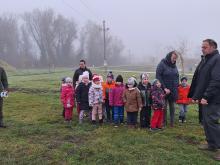 országfásítás 2025