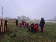 országfásítás 2025