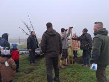 országfásítás 2025