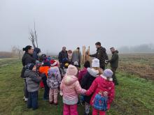 országfásítás 2025