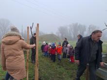 országfásítás 2025