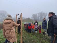 országfásítás 2025