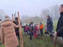 országfásítás 2025