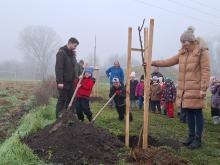 országfásítás 2025