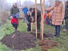 országfásítás 2025