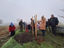 országfásítás 2025