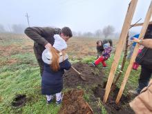 országfásítás 2025