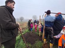 országfásítás 2025