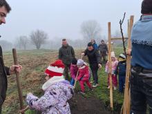 országfásítás 2025