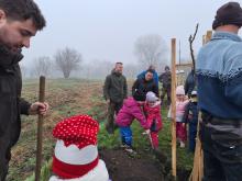 országfásítás 2025