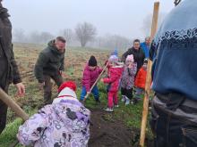 országfásítás 2025