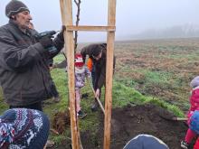 országfásítás 2025